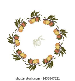 Peach fruits. Wreath for congratulations. Vector illustration.