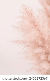 Peach Fuzz Background. Dry pampas grass background. Nature of flower in garden using as background natural flora cover page or banner template brochure landing page design