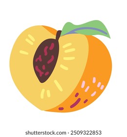 Peach half doodle vector illustration isolated on white.