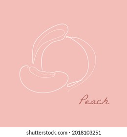 Peach and half of peach fruit in line art style.  Illustration of peach for packaging design, cosmetics,  advertising, sweets, food, for cover, print. Vector illustration.