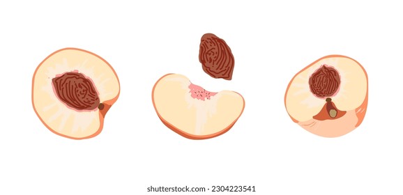 Peach halves .For fabrics, for printing brochures, posters, parties, vintage textile design, postcards, packaging