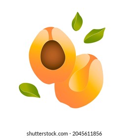 Peach halves isolated in white background. Orange colored fruit core.