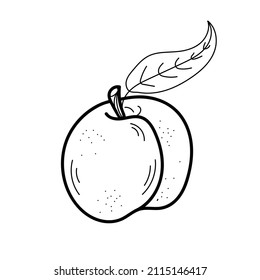 Peach hand drawn illustration.  Black line isolated on white background.