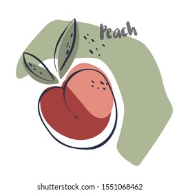 Peach in hand drawn style. Vector design element isolated on the white background. Colorful vector icon.  Fruit decor.   Vegetarian and vegan food in isolated modern design. 