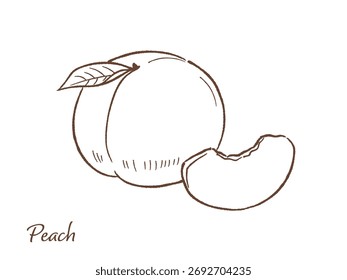 Ilustración vectorial dibujada a mano de melocotón