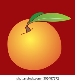 Peach. Hand drawn vector illustration.