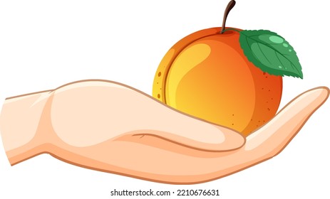 A peach in a hand isolated illustration