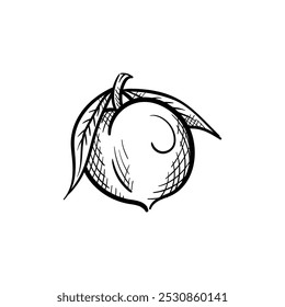 Peach Hand-Drawn Food Vector Icon