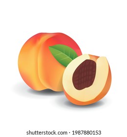 Peach Healthy Organic Fresh Fruit Summer Isolated Vector Illustration