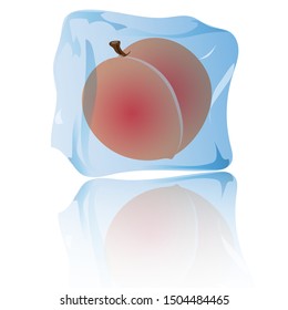 Peach in ice. fruit ice. Vector art