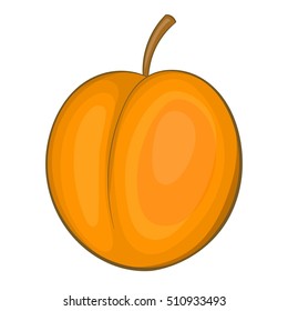 Peach icon. Cartoon illustration of peach vector icon for web