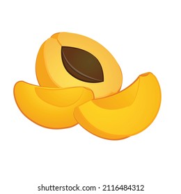 Peach icon cartoon vector. Apricot fruit. Half slice peach