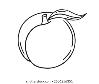 peach icon doodle hand drawn. Outline peach line drawing clipart symbol. Vector illustration