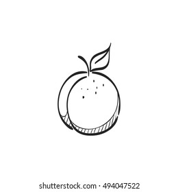 Peach icon in doodle sketch lines. Food fruit vitamin healthy diet