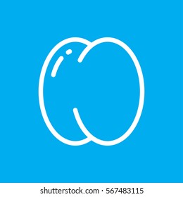 peach icon illustration isolated vector sign symbol