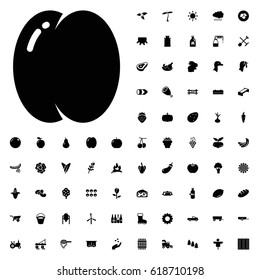 Peach icon illustration isolated vector sign symbol. agriculture icons vector set on white background.