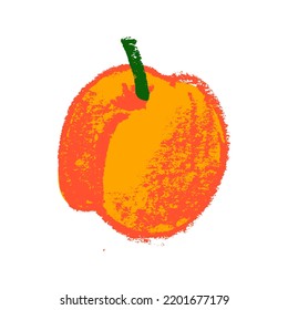 Peach icon isolated in vector. Color hand-drawn nectarine sketch. Yellow plum illustration for baby food logo, juice label design, vegan banner, fruity packaging. Apricot drawings for jam package.