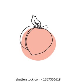 Peach icon in line art style, juicy fruit isolated on white background with editable stroke.