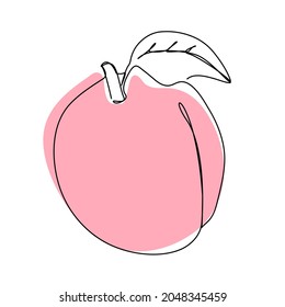 Peach icon in line art style, juicy fruit isolated on white background with editable stroke.