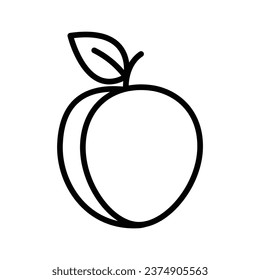 peach icon vector apricot fruit 