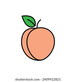 peach icon vector apricot fruit 