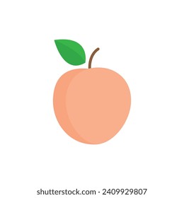 peach icon vector apricot fruit 