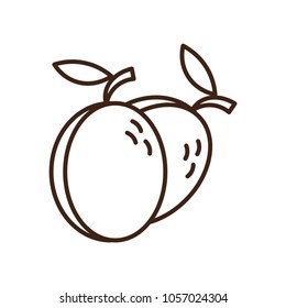 Peach icon vector, filled flat sign, solid pictogram isolated on white, logo illustration