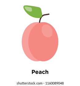 Peach icon vector isolated on white background, Peach transparent sign