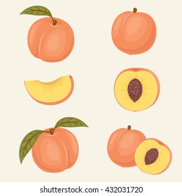 Peach icons. Fresh close up peach vector illustrations. Whole, half, slice, with and without leaf