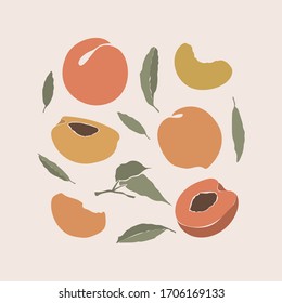Peach icons set with leaves. Nature colorful fruit symbols of yellow, orange colors isolated on light bacground. Flat hand-drawn food templates illustration.