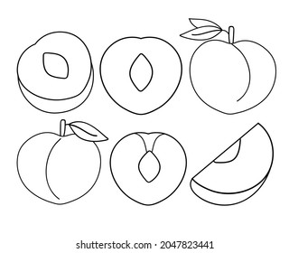 Peach icons set. Outline set of peach vector icons. 