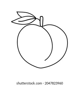 Peach icons set. Outline set of peach vector icons. Vector illustration isolated on white.