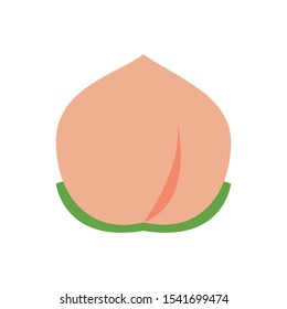 Peach icon,vector illustration. Flat design style. vector peach icon illustration isolated on White background, peach icon Eps10. peach icons graphic design vector symbols