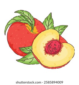 peach, illustration, clipart, elements, vector