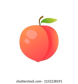 Peach illustration isolated on white background. Summer fruits for healthy lifestyle. Cartoon style vector illustration.