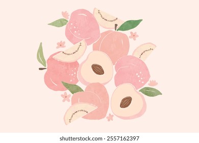 Peach Illustration pattern design. Peach or apricot pattern. Hand drawn fruit and sliced pieces. Summer tropical endless background. Vector fruit design for label, fabric, packaging