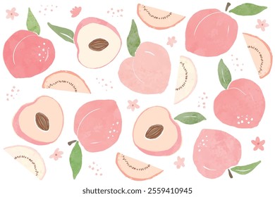 Peach Illustration pattern frame. Peach or apricot pattern. Hand drawn fruit and sliced pieces. Summer tropical endless background. Vector fruit design for label, fabric, packaging