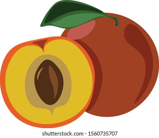 Peach, illustration, vector on white background.
