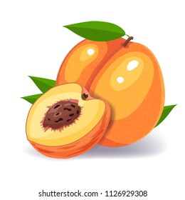 Peach isolated on white background. Peach vector icon