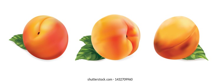 Peach isolated on white background. Vector illustration.