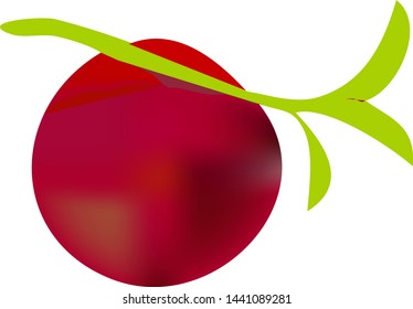 peach isolated on white background
