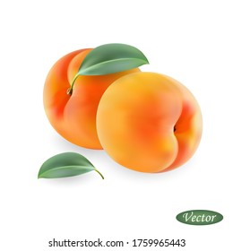 Peach isolated on a white background. Realistic fruit. Macro icon juicy peaches. Sweet fruits. Vector illustration 3D. Design element.