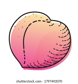 Peach isolated on white background. Vector illustration of fruit.