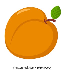 Peach isolated on white background, vector image