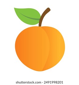 Peach isolated on white background. Vector illustration