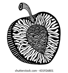 peach Isolated on a white background. Hand-drawn, doodle, vector. Black and white. Made by trace from sketch. Coloring book page for adult. Garnet fruit.