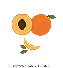 durazno aislado en fondo blanco.ilustración vectorial de fruto