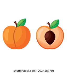 peach isolated over white background. vector illustration