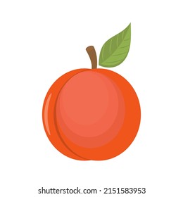 Peach isolated vector icon. Peach fruit on branch with leaf. Juice or jam branding logotype.