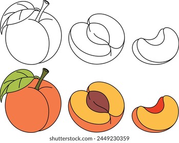 Ilustración vectorial aislada de melocotón para colorear Dibujado a mano para niños